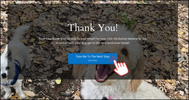 Previewing the Thank You page in Systeme.io before testing the button.