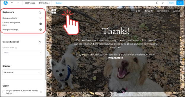 Changing the background in the Systeme.io funnel editor