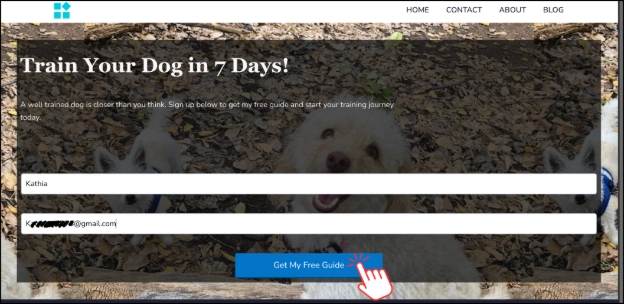 Submitting a funnel form to test a Systeme.io workflow