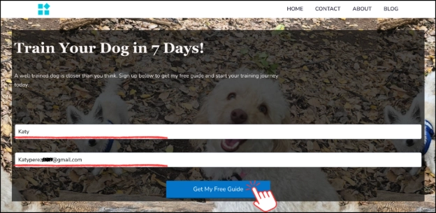 Submitting a test opt-in form in Systeme.io