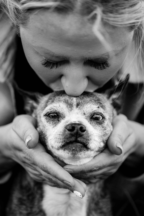 Feeding Senior Dogs With Decreased Appetite 